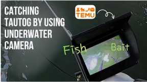 Temu Underwater Camera vs Real Fish! Success or Fail? 🤔