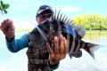 How to Catch Sheepshead!! Ultimate