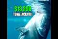 $13,398 Tuna Jackpot! Captain Dale’s