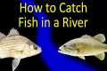 How to Fish a Stream or River (River