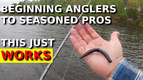 Wacky Rig Tricks That Work For ANYONE!!!!! (Catch TONS Of Fish!!!!)