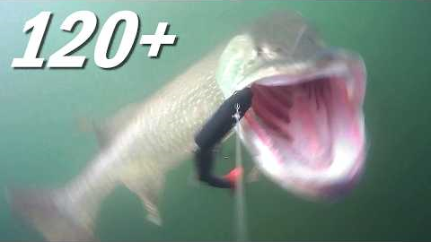 120+ cm Giant Pike Caught on Underwater Camera !