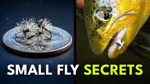 Fly Fishing With Small Dry Flies (Part 1) | Ep. 170