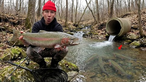 48 Hours Fishing TINY Creeks for Steelhead Trout - Hood Car Camping