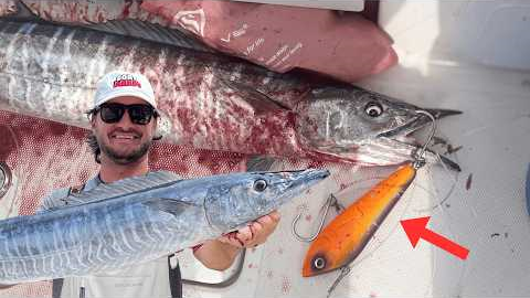 How to catch a wahoo at the Key Largo Humps {catch & cook}
