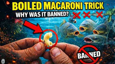 Put Boiled Macaroni on Your Hook — Better Than Live Bait (Why Was It Banned?)