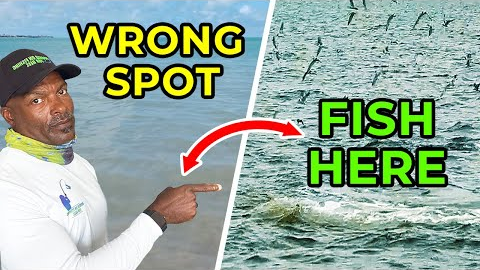 3 Ways to Find Fish In Any Water(Most Anglers Fish The Wrong Spot)