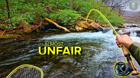 WORLD CHAMPS Fly Fish This Way for a Reason...