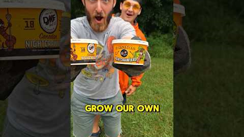 So I started a WORM FARM 🪱(Part 4) #shorts #fishing #worms