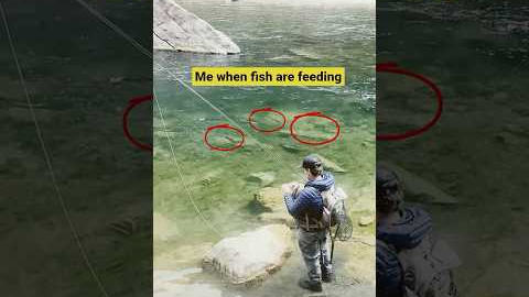 #FlyFishing Struggles – When Tying Takes Forever! #greenriver #fishing #troutfishing