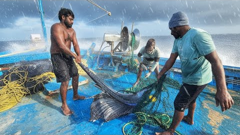 Day-03 | Third Day in the Middle of the Ocean | Tuna Fishing & Boat Cooking | S-01