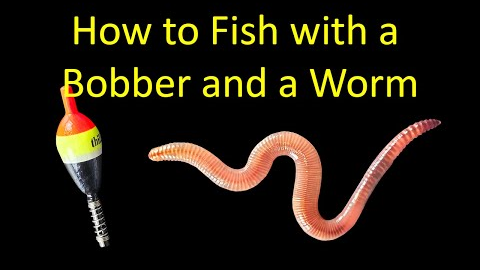 How to Catch a Fish with a Bobber and Worm (Bobber Fishing)