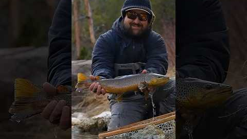 The Most Important Bug in Fly Fishing