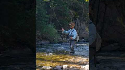 The One Fly That Works ALL YEAR — Fly Fishing Flies 101