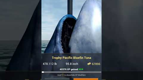 Big fish in the ocean dlc in fishing planet #fishing