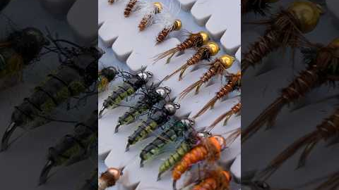 Top Flies for Fly Fishing & the Insects Behind Them