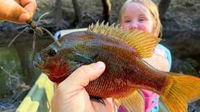 Hammering Monster River Redbreast on Tiny Spider Lure!