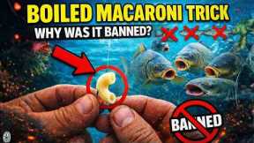 Put Boiled Macaroni on Your Hook — Better Than Live Bait (Why Was It Banned?)