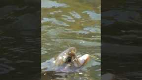 Before You Tie on a Fly… Do This First