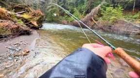 Streamer Fly Fishing SNOBS Will HATE This Technique