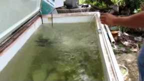 How To Make A Bait Tank From A Freezer