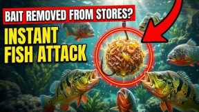 I Did This Once And Never Needed Artificial Bait Again — Removed From Professional Fishing Stores.