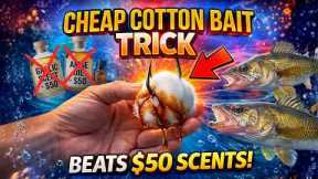 Soak a Cotton Ball in This — Fish Strike Instantly (Better Than $50 Scents)
