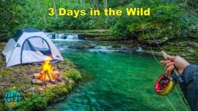 INTO THE WILD: 3 Days Solo Camping and Fly Fishing for Trout!