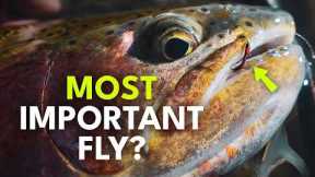 The Most Important Bug Most Anglers Ignore