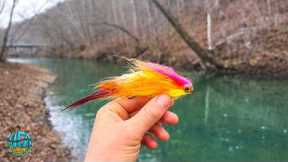 This Insane Creek Was Full of GIANT Fish!! (Fly Fishing for Musky!)