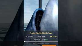 Big fish in the ocean dlc in fishing planet #fishing