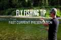 Fly Fishing Tip - Presentation in
