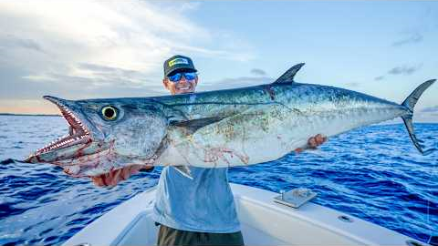 DEEP Sea Kingfish! Catch Clean Cook (Kingfish)