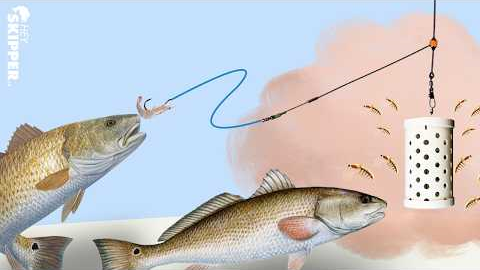 Surf Fishing w/ a Chum Rig? SMART or DUMB!?