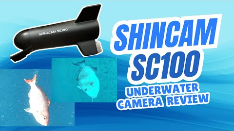 What Fish REALLY Do Underwater… Caught on Camera! SHINECAM SC100
