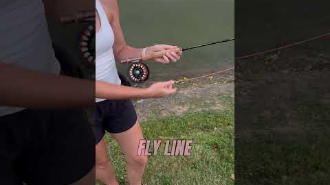 5 things you need to start fly fishing #fishing #bassfishing #flyfishing #learning #fish #outdoors