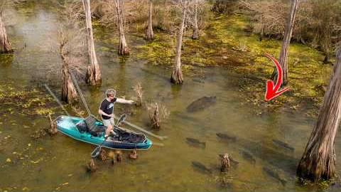 Exploring A FLOODED FOREST Loaded With Aggressive FISH! (Kayak Fishing)