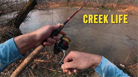 Creek Fishing: A Peaceful Morning in DIRTY Water!