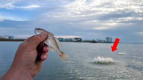 I Tossed LIVE CROAKERS Here and Can't BELIEVE What Happened Next!!
