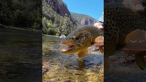 Why Drag Is Killing Your Fly Fishing