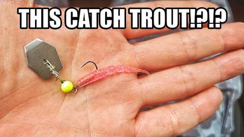 Homemade Mukai B-Chatter vs Stocked Trout