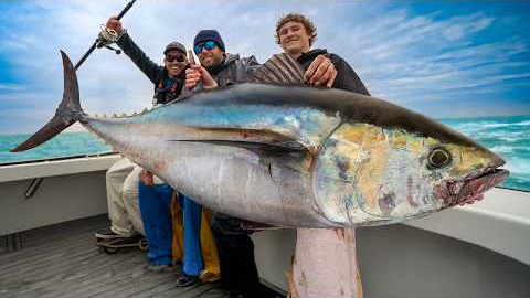 Record Breaking Catch of Monster Bluefin Tuna (Catch Clean & Cook)