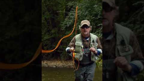 Dry Fly Fishing Advice!