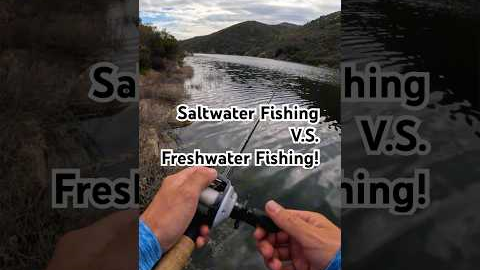 Saltwater Fishing VS Freshwater Fishing! #fishingvideo #fishing