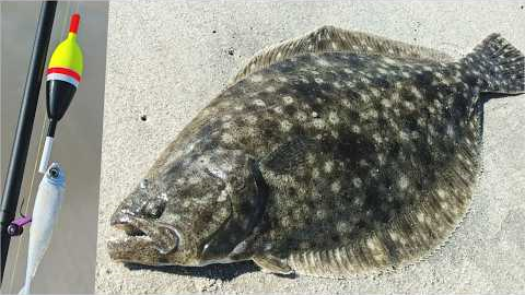 Fluke on a Bobber?! Single Jig vs Jerkbait vs Bobber Rig for Flounder