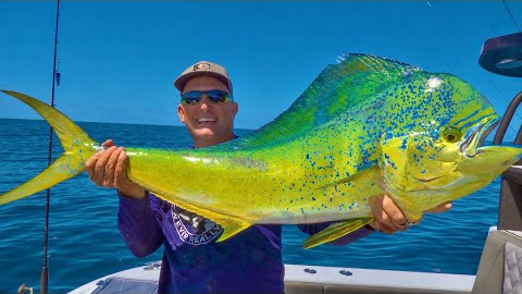Deep Sea Fishing! Mahi Mahi | Tuna | Snapper {Catch Clean Cook} DMFD Life Ponce Inlet