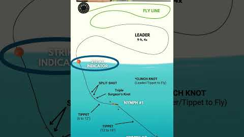 Most Trout Are Caught This Way (Fly Fishing)