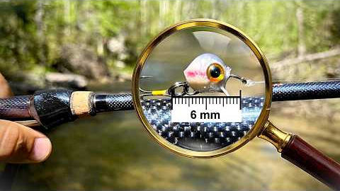 Can Fish Even See These Lures?