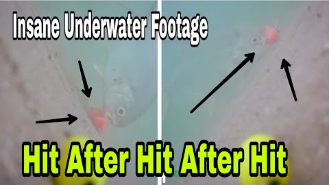 Pro Fishing Go Fish Camera Underwater Footage goes Insane with current and waves most satisfying