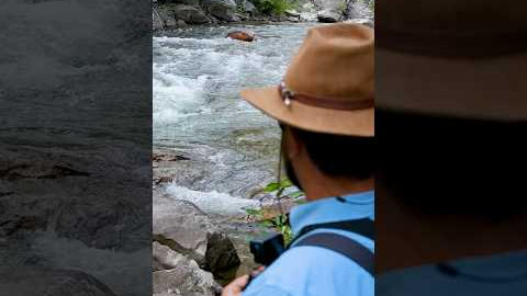 Overwhelmed by Fly Fishing Tips? Watch This!